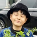 와부농업협동조합 하나로마트 이미지