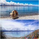 ****티벳 완전일주여행(상그릴라-메리설산-차마고도-라싸-찡짱열차-청해호)****5월15일(금)-5월28일(목)/13박14일 이미지