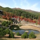 삼성궁 이미지
