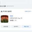 홍콩 간 여우 | 봄이 시작된 3월 BLOG