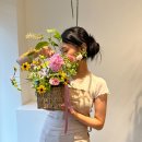 발레드무이 이미지