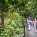 여행문화학교산책