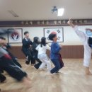 합기도유성관 네이버블로그