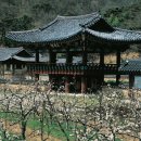 연계당 및 연계소영일기 네이버블로그