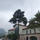 포레스트힐C.C | 포레스트힐C.C 힐코스 후기 깊어가는 가을