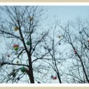 천을산 해맞이 이미지