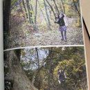 내일은 도서관 과학왕(코딩편) | [육아 서평] 아빠, 이런 여행 어때? 아이와 부모가 함께 성장하는 특별한 여행기