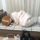[일본 워홀] D+38~D+42 여자모임 개최 DAY . . . 🤍 한국이 갑자기 그리워지는 이슈 발생 😵‍💫