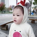 하블리 Daum카페