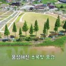 인주장어촌 | 따라 신정호, 외암마을, 맹씨행단, 모나벨리, 인주장어, 카페소풍을 화가한수희는 아름다운 그림 이야기...