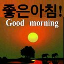 이라 Daum카페
