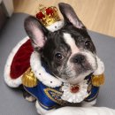 남원 가마솥김치찜 명태조림 | 26.03