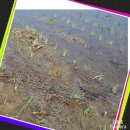 초이농장 이미지