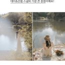 [ 웨딩촬영 ①] 서울야외웨딩촬영 업체 고르기 + 일정바꾸기 ( 찬란한나 / 이상영스냅 / 아멜리가든 )