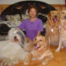 다미민박 이미지