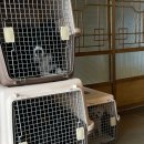 서쪽에서(귤이네) 이미지