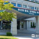 부산진구-3 이미지