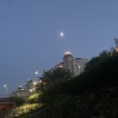 본죽오남점 | 7월