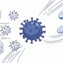 인삼약국 | 인삼다당체 효능 효과 구입 고민하시는 분들께