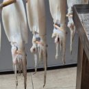 동해장 모텔 이미지