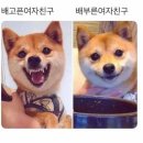 뒹구리