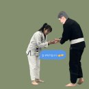 주짓수 | 🖤🥋용산진주짓수🥋🖤내돈내산 수강후기