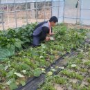 곰밭농장 이미지