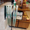 상계초교 | 스타벅스 그로서리 마켓 노원역에서 즐기기