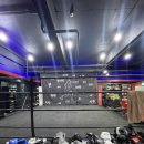 김일권 챔프복싱 이미지