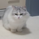 청수버들우미린아파트 이미지