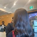리헤어(Lee hair)