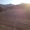 강선농장 이미지