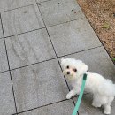 디디동물병원 이미지