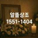 (주)안양장례식장 장의차 | 삼성서울병원장례식장 알뜰상조 이용 천안공원묘원 가족묘 안치까지