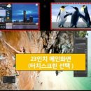 와이에스테크 세계일보