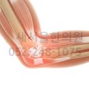 새서울한의원 이미지