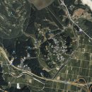 하양혈리 이미지