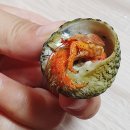 학섬펜션