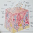 봄동살롱 이미지