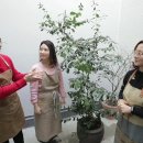 소소한 행복 초록일기 이미지