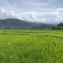 평촌명품마을 이미지