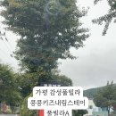 가평콩콩내림스테이키즈풀빌라A