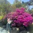 감동호텔 | 생일날 롯데 91층 시그니엘 호텔 감동적인 프로포즈 받은 후기