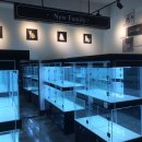 올리몰스 펫샵 이미지