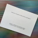 나비 | 서울 몰입형 전시회 라부르켓 × 콘트라스트 메종나비 후기