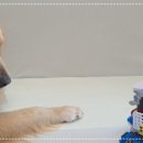 딜리커넥트