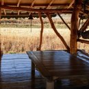 신평동1100 이미지