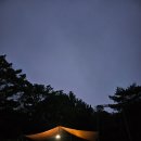 꽃이야 나무야 파주 이미지