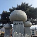빵뜨래 | 20260214(토)일상기록