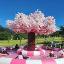 감산 | 경주 산내 경치 좋은 물놀이장 감산470